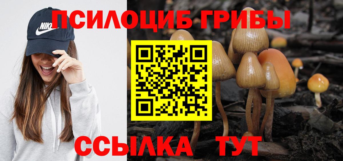 Владикавказ  Галлюциногенные грибы мухоморы  Вход с VPN  Псилоцибиновые грибы MAGIC MUSHROOMS 