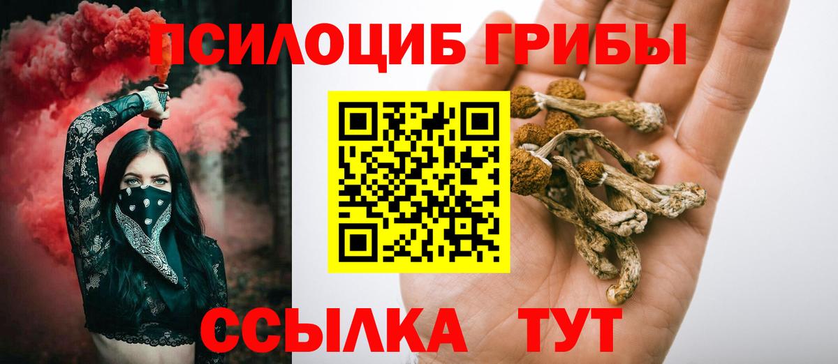 Галлюциногенные грибы прущие грибы Владикавказ